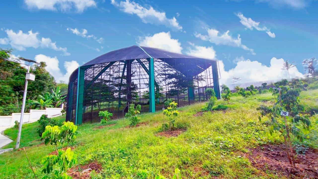 Kasuari Exotic Resort מגלאנג מראה חיצוני תמונה